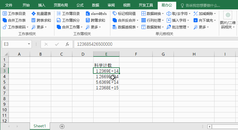 科學計數轉數值.gif